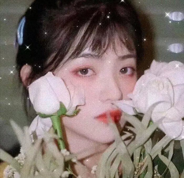 杜鹃的婚约